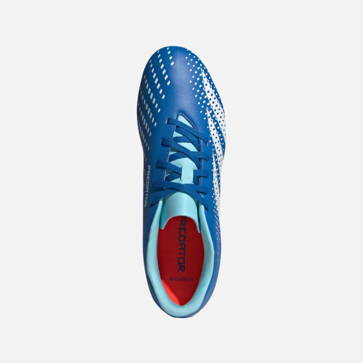 Adidas Predator Accuracy.4 Flexible Ground Football Studs -Bright Royal/Cloud White/Bliss Blue