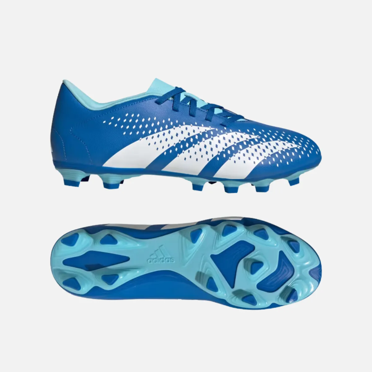 Adidas Predator Accuracy.4 Flexible Ground Football Studs -Bright Royal/Cloud White/Bliss Blue