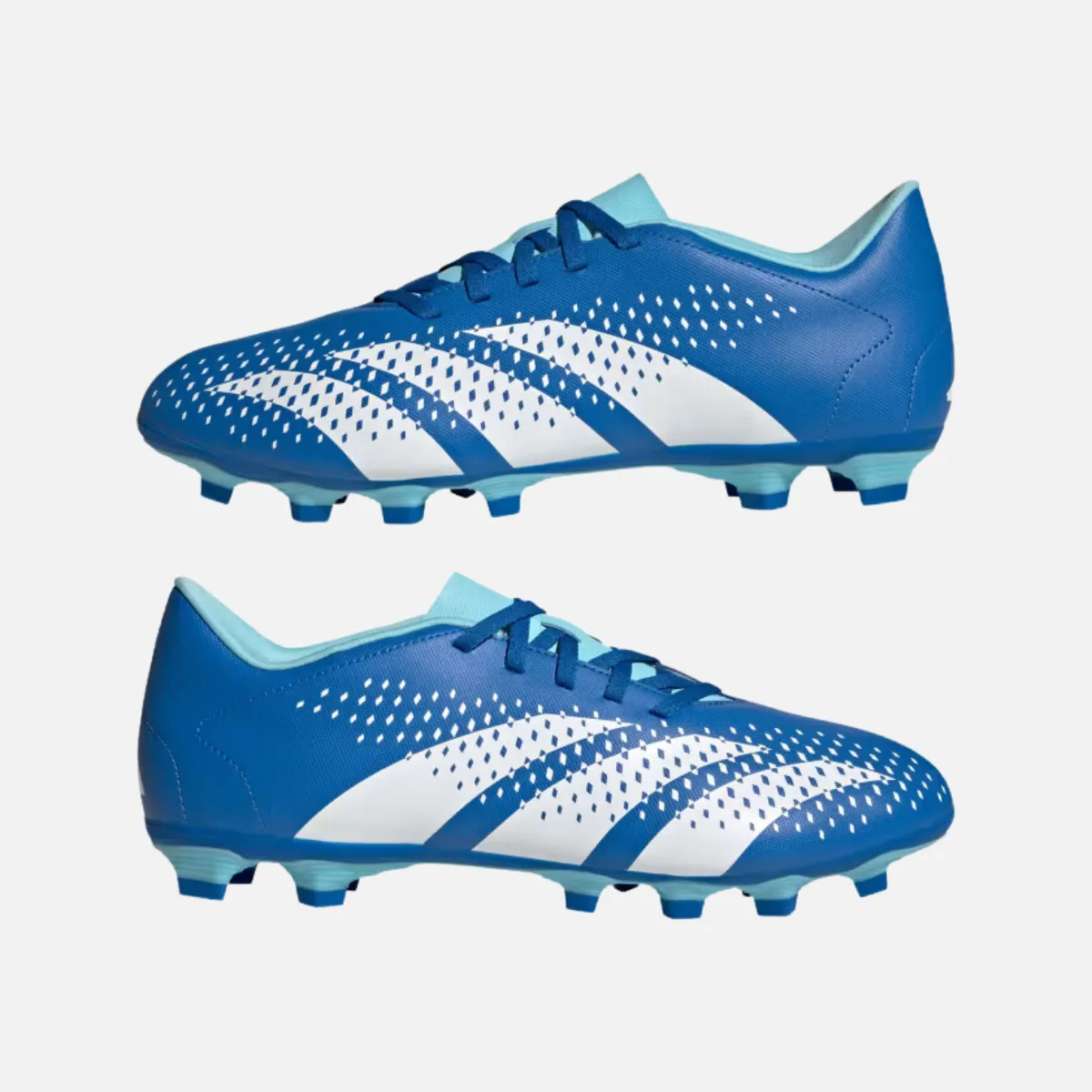 Adidas Predator Accuracy.4 Flexible Ground Football Studs -Bright Royal/Cloud White/Bliss Blue