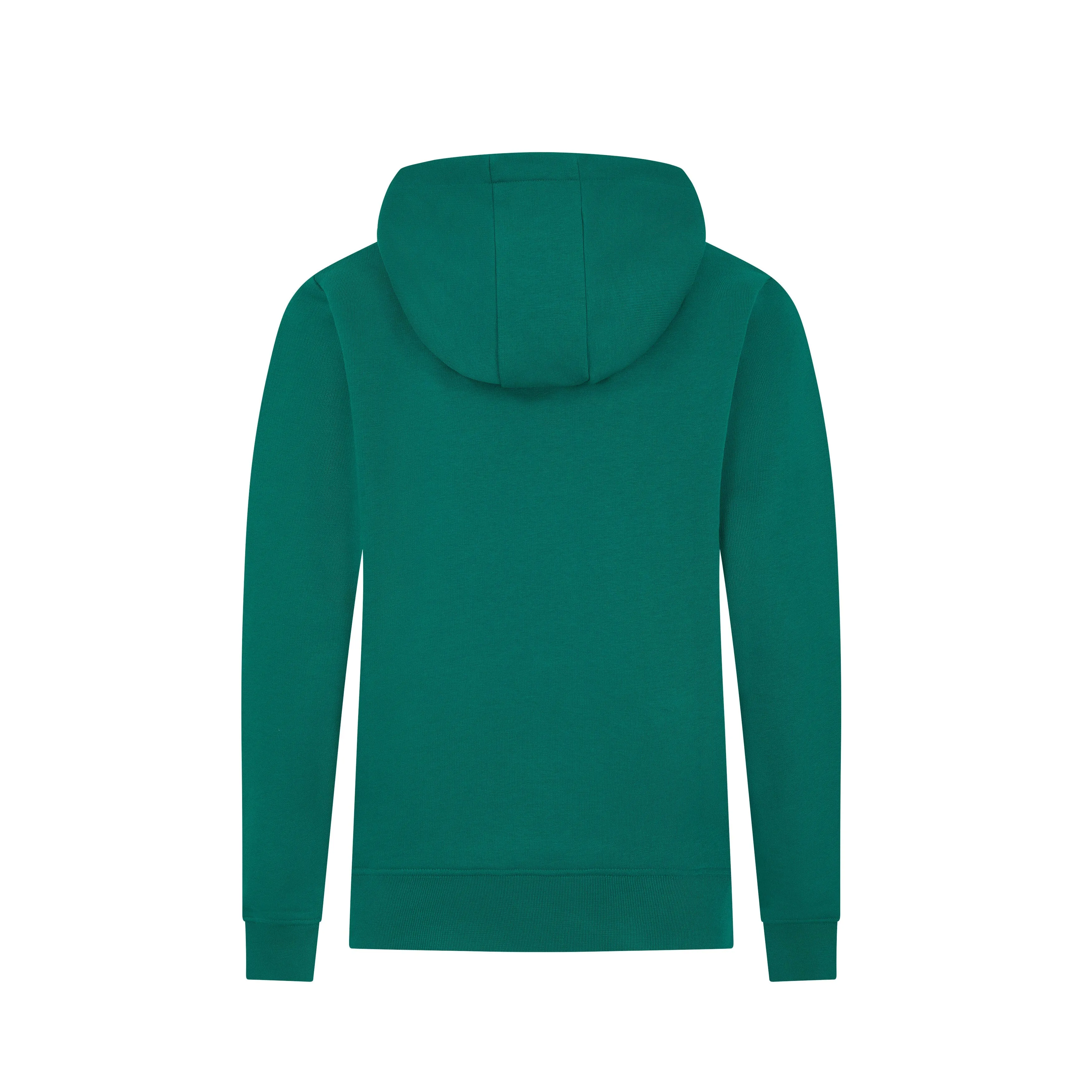 Aston Martin F1 Kids Logo Hoodie -  Youth Green