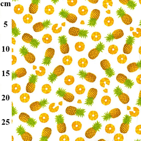 FS739 Pineapple Novelty