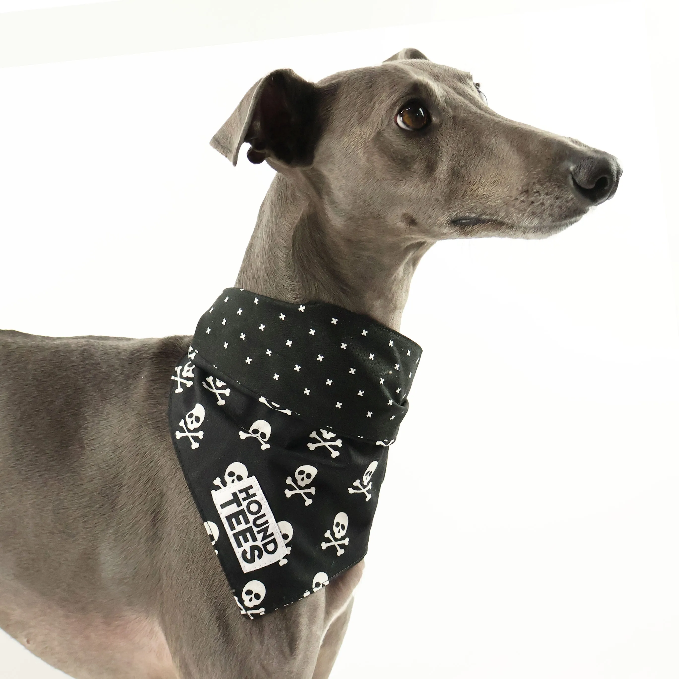 Scullywag Bandana