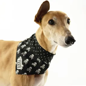 Scullywag Bandana